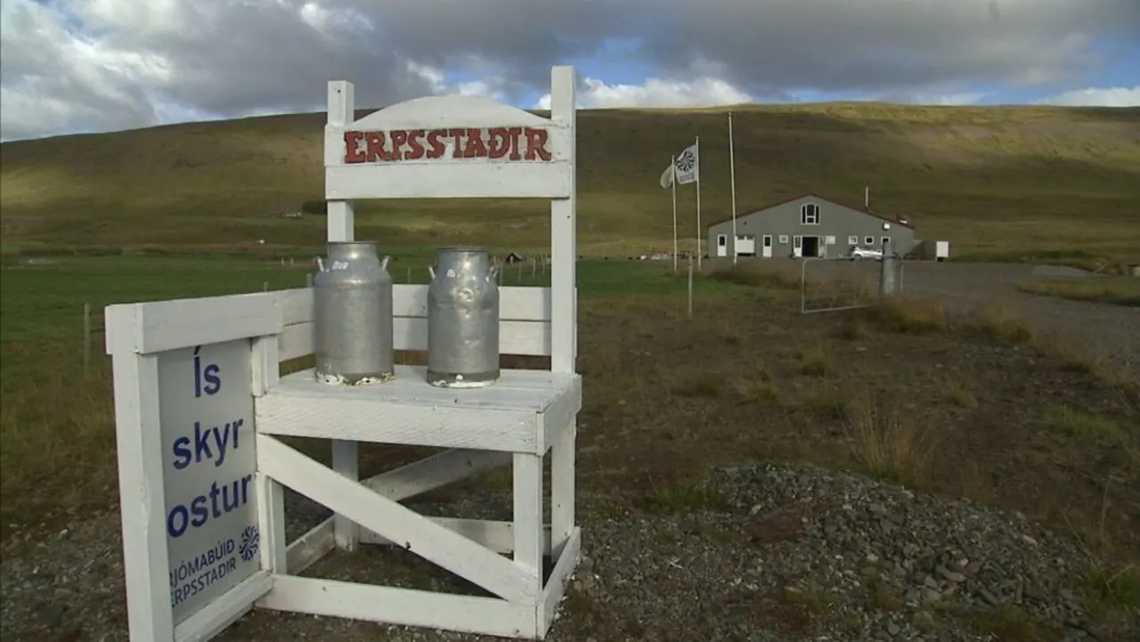 Erpsstaðir in Islanda
